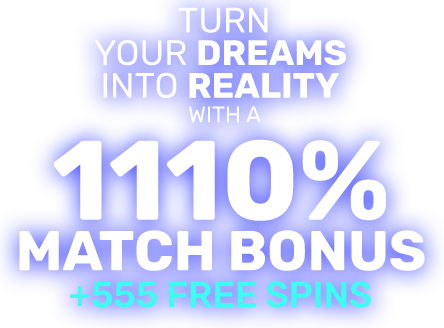 SpinBookie 